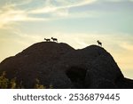 A silhouette of the mountain goats on the hill