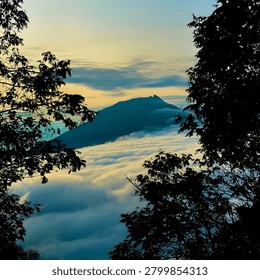 Silhouette of a mountain range at sunset with clouds and trees in foreground