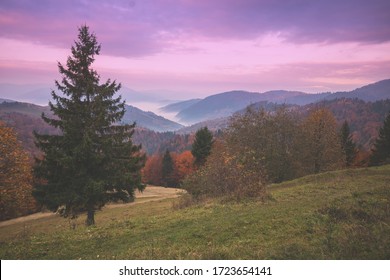 Silhouette of mountains in the early misty morning. View of the mountains in early spring. Beautiful nature landscape. Carpathian mountains. Ukraine