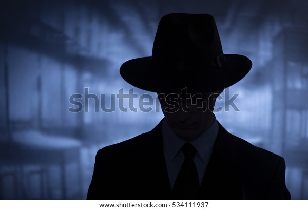 Silhouette of a mysterious\
man in a vintage style wide brimmed hat in a close up head and\
shoulders portrait