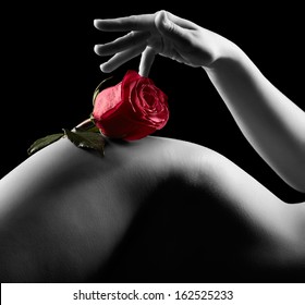 Silhouette of nude beautiful young woman with red rose isolated on black