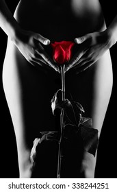Silhouette of nude beautiful young woman with red rose in hands near groin isolated on black