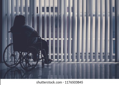 Silhouette Of Obese Woman Sitting In The Wheelchair By The Window. Shot In The Hospital 