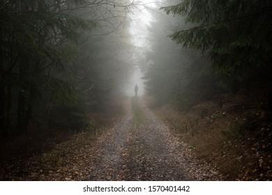 Silhouette on a forrest path - Powered by Shutterstock