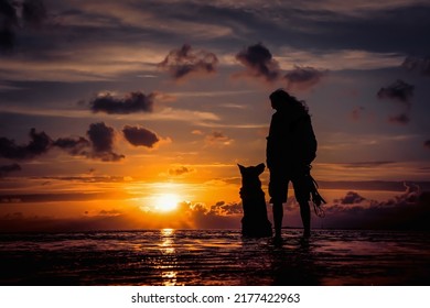 Silhouette of the owner with the dog look at each other against the backdrop of a beautiful sunset