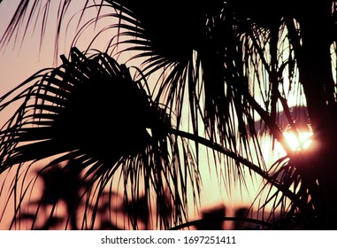 ハワイ 夕方 背景 Images Stock Photos Vectors Shutterstock