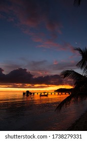 533 Fijian palm trees Images, Stock Photos & Vectors | Shutterstock