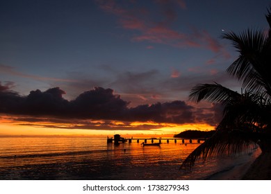 533 Fijian palm trees Images, Stock Photos & Vectors | Shutterstock