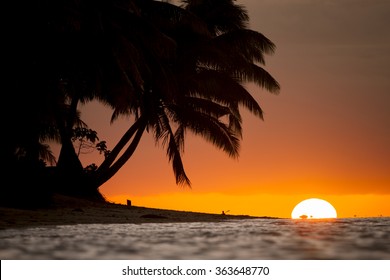 Silhouette Of Palm Tree On Beach During Sunset At Fiji