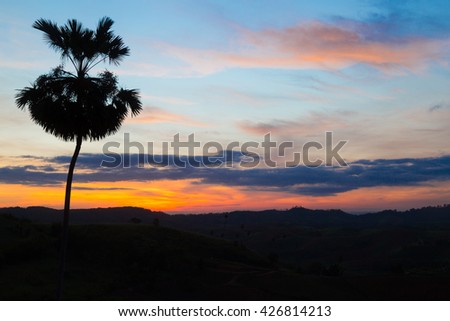 Silhouette palm tree on sunrise with colorful twilight sky on the mountain.