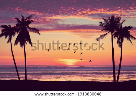 Silhouette palm tree at tropical beach with birds flying on sunset sky abstract background. Nature environment and travel freedom concept. Vintage tone filter effect color style.