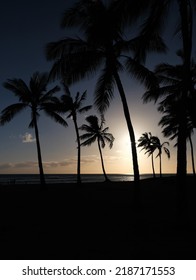 Silhouette Of Palm Trees Back Lit From Sun Low In The Sky.  Pacific Ocean On The Horizon And Cloud Sun Sky Behind The Palms.