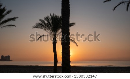 Similar – venice beach Strand