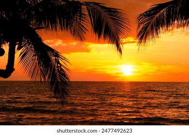 Silhouette of palm trees Beautiful sunset on the tropical sea beach background for travel in holiday relax time, - Powered by Shutterstock