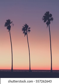 Silhouette Of Palm Trees On The Beach At Sunset In Southern California