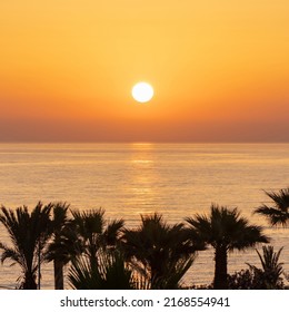 Silhouette of palm trees of sea beach against the backdrop of a huge setting sun on sunset sky. Top view. Panoramic view
