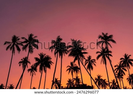 Similar – Image, Stock Photo Palm trees and beautiful scenery of Corong Corong beach with traditional boats, mountain and blue sky in El Nido, Palawan island, Philippines