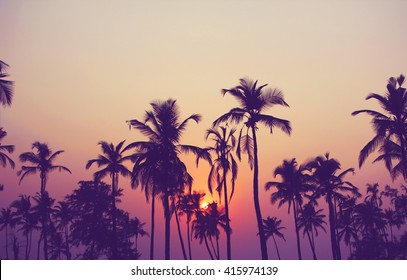 Silhouette of palm trees at sunset, vintage filter - Shutterstock ID 415974139