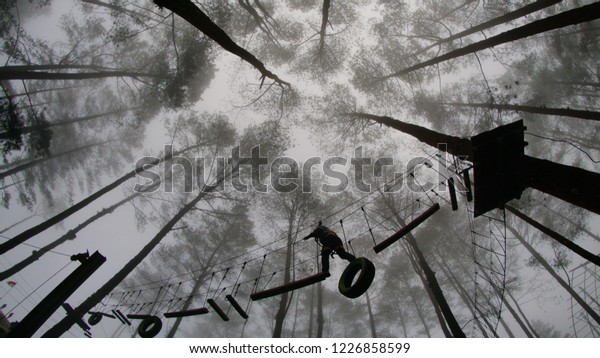 Silhouette of people crossing the canopy walk\
between pine trees during hazy\
morning