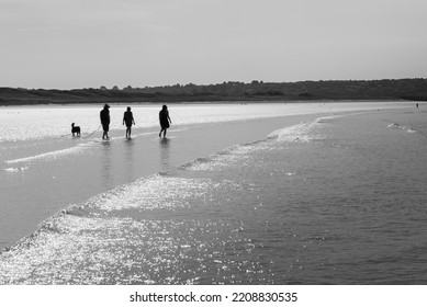 Silhouette Of People With A Dog Walking On The Shore Of The Beach Of Kersiguenou, Brittany, France. The Sun Is Reflecting On The Diagonal Waves. Monochromatic.