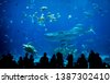 atlanta aquarium