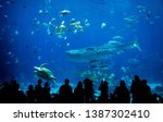 silhouette people in great aquarium