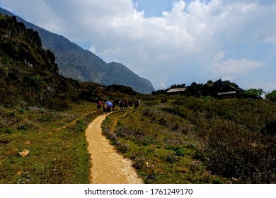 Silhouette Of People Walking In The Mountains And Rice Field Of Sapa, Meeting The Ethnic Minorities Of North Vietnam