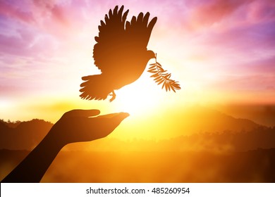 silhouette pigeon flying out of two hand and freedom concept and international day of peace 2017