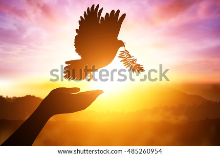 silhouette pigeon flying out of two hand and freedom concept and international day of peace 2017