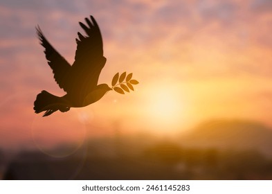 Silhouette pigeon holding tree leaf flying out over sunset time flare light blurred background, peace and freedom concept, copy space for individual text.