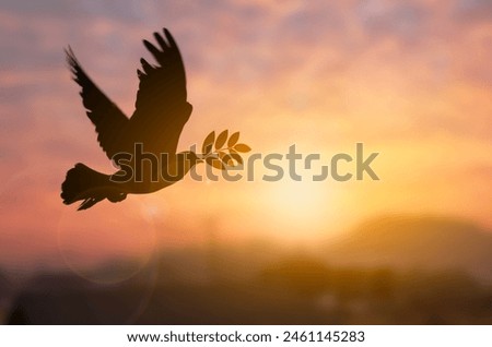 Silhouette pigeon holding tree leaf flying out over sunset time flare light blurred background, peace and freedom concept, copy space for individual text.