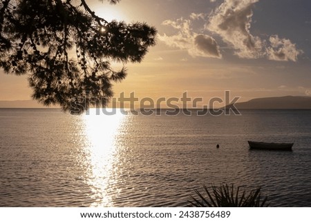 Silhouette of pine tree and small boat during sunset at Dalmatian archipelago in coastal town Makarska, Split-Dalmatia, Croatia, Europe. Coastline of Makarska Riviera, Adriatic Sea. Balkans in summer