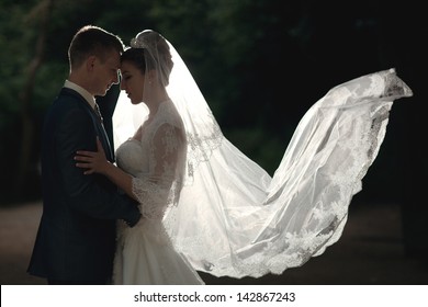 silhouette portrait of love couple wedding bride and groom