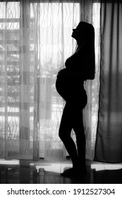 
Silhouette of the pregnant woman on a light background.