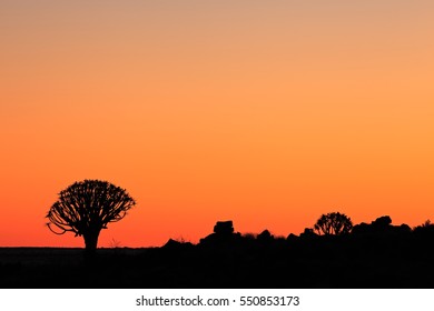 Paysages Africains Images Photos Et Images Vectorielles De Stock Shutterstock