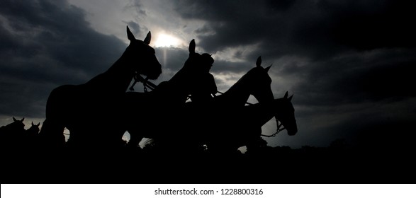 Silhouette Of Race Horses At Cheltenham Races