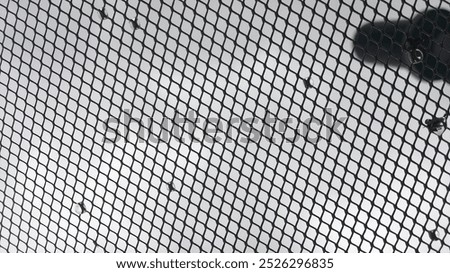silhouette with raindrops
blacknwhite
dark
pattern
duck