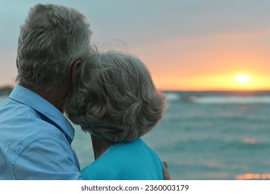 silhouette rear view of elderly couple standing on the beach and chatting happily in sunset background.  - Powered by Shutterstock