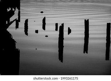 The Silhouette Of The Remnants Of Old Dock Posts At A Tranquil Lake