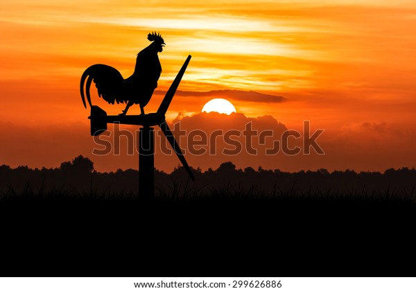 Silhouette Roosters Crow Stand On Wind Stock Photo (Edit Now) 299626886