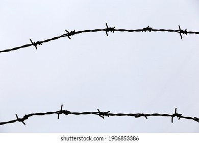 Silhouette of rusty barbed wire against the winter sky. Background for prison, war or immigration