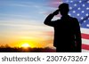 veterans day salute silhouette