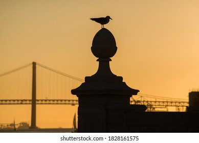 橋 風景 の画像 写真素材 ベクター画像 Shutterstock
