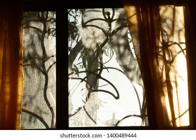 Silhouette And Shadows Of Bars, Leaves And Trunk Olive Tree Behind A Sheer Linen Ajar Curtain Out Of A Window . Light Coming Through Window