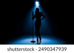 Silhouette of singer on stage in spotlight. Banner design