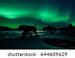 Silhouette of sled dog team pulling sleigh with musher under the northern lights.