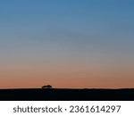 Silhouette of a small wood of trees on the top of a hill against a sunset sky turning from orange to blue