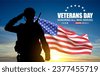veterans day salute