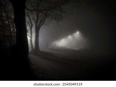 Silhouette of Solitary Person Walking alone Down Foggy Road With Street Lights and Autumn Trees - Powered by Shutterstock