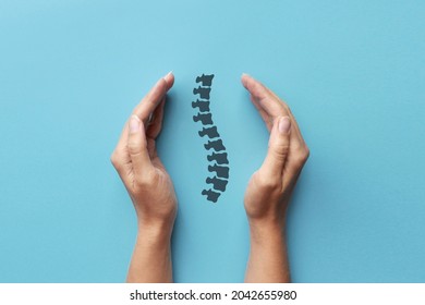 The silhouette of the spine in the hands of a person. A symbol of treatment and prevention of diseases of the back and spine - Shutterstock ID 2042655980